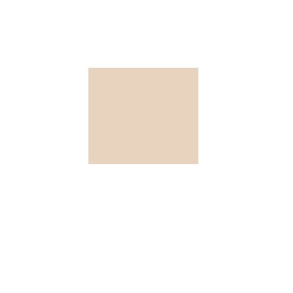 Тени для век RELOUIS PRO Eyeshadow Matte тон 11 IVORY, 3 г. 